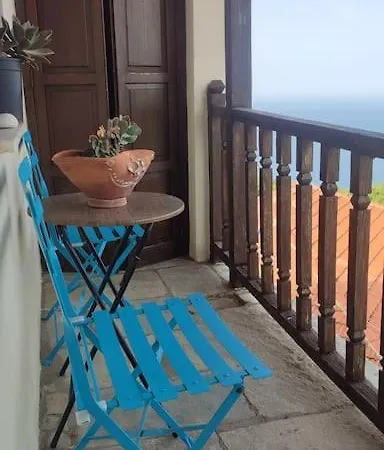 Xrysanthi's Dream House זגורה