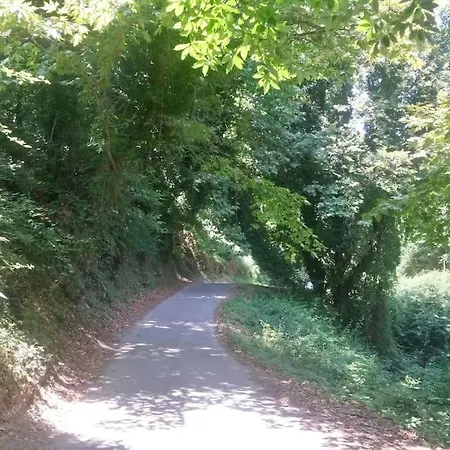 Xrysanthi's Dream House זגורה