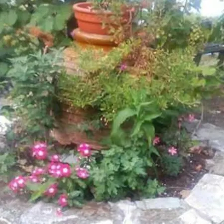 בית נופש Xrysanthi's Dream House זגורה