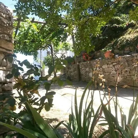 Xrysanthi's Dream House