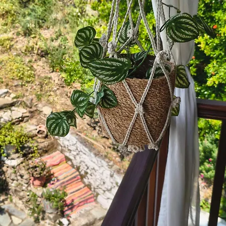 Xrysanthi's Dream House בית נופש