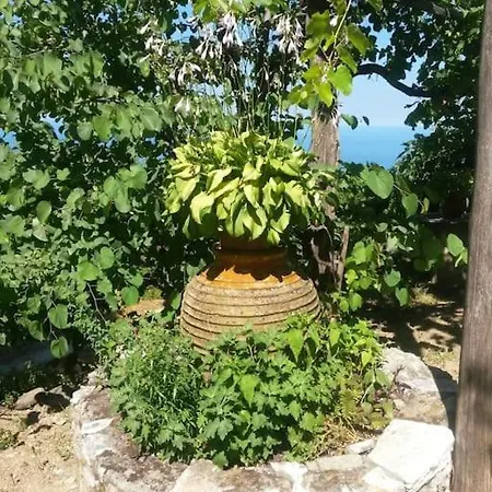 بيت للعطل Xrysanthi's Dream House زاغورا