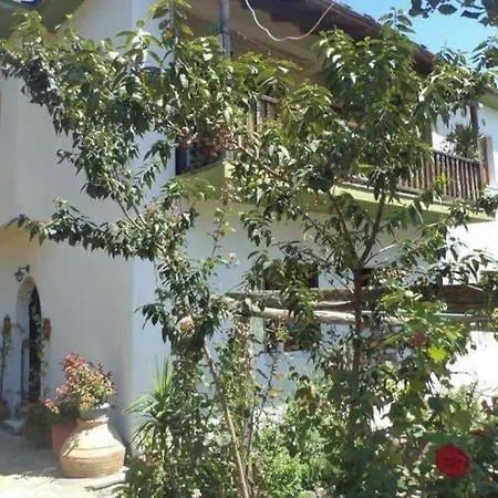 Xrysanthi's Dream House *
