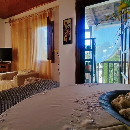 Xrysanthi's Dream House Nyaraló