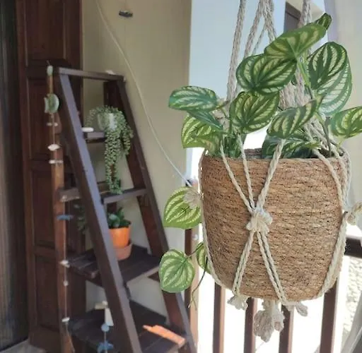 Xrysanthi's Dream House *