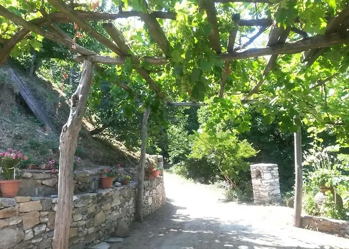 Xrysanthi's Dream House