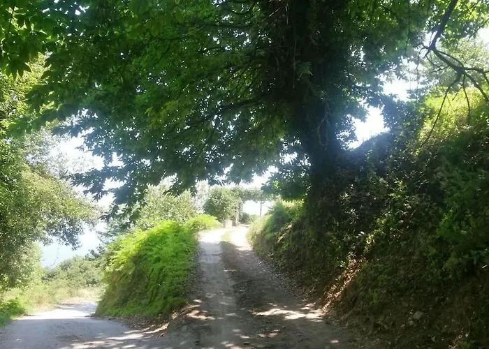 Xrysanthi's Dream House Case de vacanță Zagora