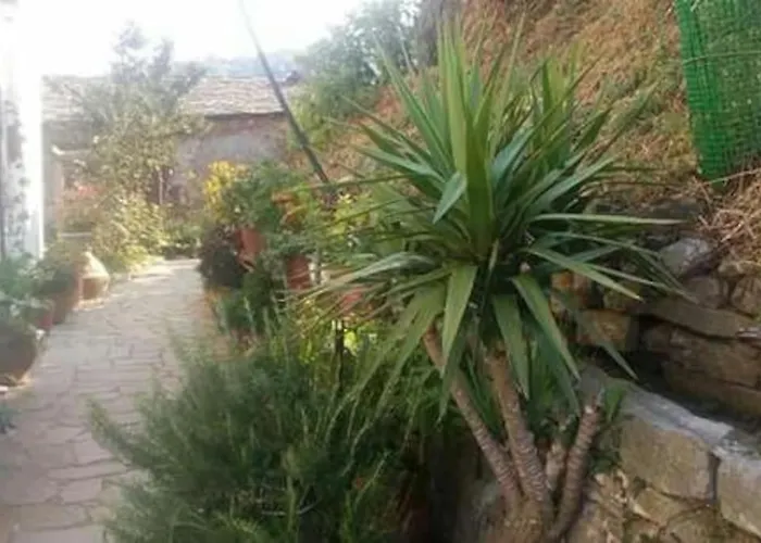 Xrysanthi's Dream House