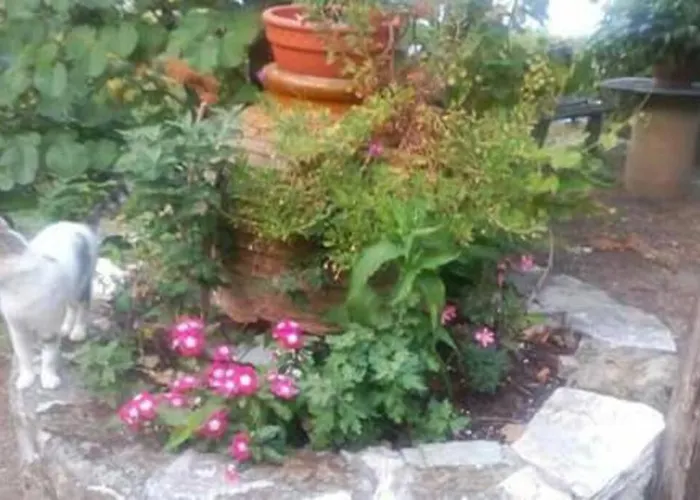 Case de vacanță Xrysanthi's Dream House Zagora