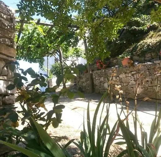 Xrysanthi's Dream House