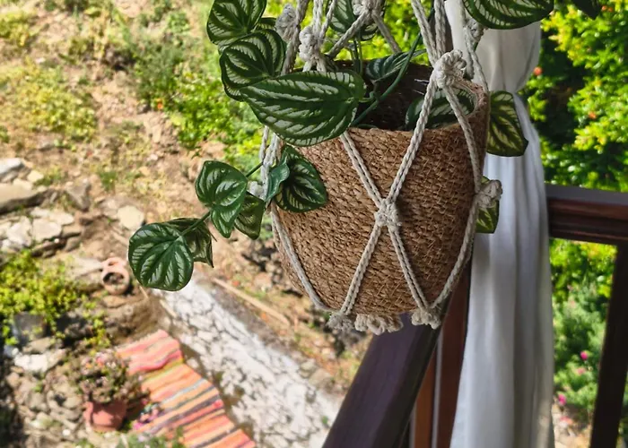 Xrysanthi's Dream House Case de vacanță